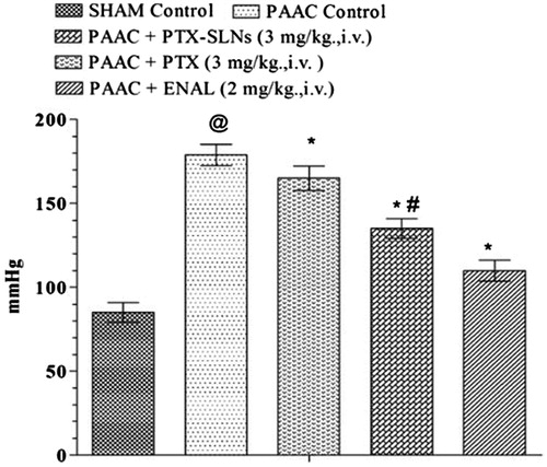 Figure 5. Effect of pharmacological interventions on MABP. @p < 0.05 versus Sham control, *p < 0.05 versus PAAC control, #p < 0.05 versus PAAC + PTX (3 mg/kg). PAAC, partial abdominal aortic constriction; MABP, mean arterial blood pressure; PTX, pentoxifylline; ENAL, enalapril; PTX + SLNs, nanoparticles of pentoxifylline.