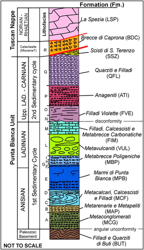 Figure 2. Schematic stratigraphic column of the PBU and the overlying TN in the study area. Letters from A to R mark the lithofacies by CitationRau et al. (1985). Corresponding formations after CitationAbbate et al. (2005) are shown on the right.