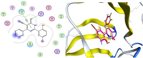 Figure 9. Left: Co-crystallised ligand, ligand–enzyme interaction (2D). Right: Overlay of crystallised ligand (magenta) and docked ligand (yellow) with RMSD = 1.431 (3D) inside PIM-1 kinase active site.