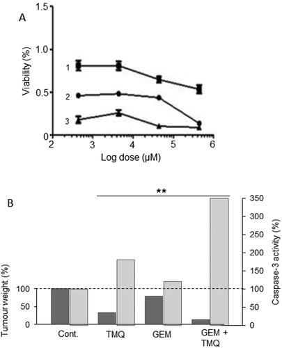 Figure 9. Effects of a nutraceutical compound on PDAC: Thymoquinone. A. Effects of gemcitabine (Citation1), thymoquinone (Citation2) and their combination (Citation3) on the viability of PANC-1 cells. All treatments produced dose-dependent reduction in viability. The effects of the combination were markedly greater than gemcitabine alone at all concentrations tested. Calculations of the “combination index” confirmed significant synergy. From Pandita et al. (Citation99), where further details can be found. B. Effects of thymoquinone (TMQ), gemcitabine (GEM) and their combination (GEM + TMQ), compared with control (Cont), in mice bearing orthotopically induced PANC-1 tumors. Data show effects on both tumor weight (lefthand axis, dark bars) and associated caspase-3 activity (righthand axis, light bars). In both cases, data are shown relative to the respective control level at 100%. For both parameters, the effects of the combination were significantly greater than treatment with gemcitabine alone (P < 0.01 for both). Replotted from data given in Mu et al. (Citation100).