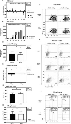 Figure 7. Blockade of STC1 had no effect on proliferation and apoptosis of AML cells. (A, B) Absolute number of successive generations (G1–G6) of AML cells (3 patients: AML samples 24–26), co-cultured with MSCAML (n = 3) ± anti-STC1 vs. MSCHD (n = 3) ± anti-STC1. Two-way ANOVA interaction between the row and the column factor: p = 0.28. (C) Representative zebra plot of CFSE stained AML cells from one patient. (D, E) Absolute count of apoptotic AML cells (3 patients: AML samples 24–26), co-cultured with MSCAML (n = 3) + anti-STC1 vs. MSCHD (n = 3) + anti-STC1, relative to the results of the control dishes. (F) Representative contour plot of Annexin V-FITC/PI stained AML cells from one patient. (G, H) Percentage of S/G2-phase AML cells (3 patients: AML samples 24–26), co-cultured with MSCAML (n = 3) ± anti-STC-1 vs. MSCHD (n = 3) ± anti-STC-1. (I) Representative histogram of PI stained AML cells from one patient. Percentage of cells in S-, G1- and G2-phase are displayed.