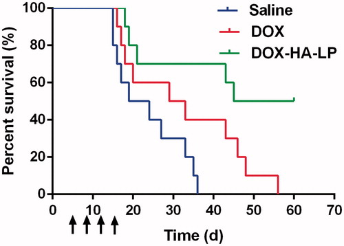 Figure 4. The survival curves of C6 glioma-bearing mice treated with DOX formulations (2 mg/kg DOX) at day 5, 8, 11, and 14 after inoculation. Data represent mean ± SD (n = 10).