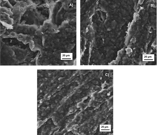Figure 3 SEM images of SLNs (A) “empty” (B) containing compound 1, and (C) containing compound 2.