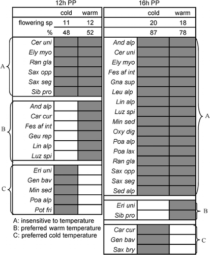 FIGURE 5. Influence of temperature on flowering. The presence (dark areas) or absence (white areas) of flowers in 12-h and 16-h photoperiods (PPs) and numbers and percentages of flowering species. Note: some species did not produce any flowers and are not shown (in 12-h PP: Agr rup, Ave vers, Geu mon, Gnap sup, Leu alp, Ore dis, Oxy dig, Phy hem, Pri glu, Poa lax, Sal her, Sax bry, Sed alp, Ver alp, Ver bel; in 16-h PP: Geu mon, Geu rep, Sal her, Sem mon, Phy hem, Pri glu, Ver alp, Ver bel). For taxonomic abbreviations, see Table 1