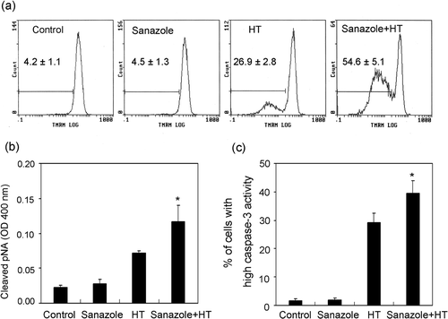 Figure 6. Loss of MMP and activation of caspase-8 and -3 induced by sanazole, HT and the combination of sanazole and HT. The cells were treated first with 10 mM sanazole for 40 min, exposed to HT at 44°C for 20 min and the cells were further treated with the drug at 37°C for 6 h. (a) Loss of MMP was noted in the cells with HT treatment with or without sanazole as measured by flow cytometry using TMRM staining. (b) Activation of caspase-8 was measured by FLICE/Caspase-8 colorimetric protease assay kit. (c) Activation of caspase-3 was measured by flow cytometry using FITC-DEVD-FMK staining. The results are presented as the means ± SD (n = 3). *p < 0.05.