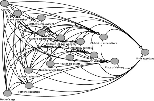 Figure 1. Hypothesised relationship between socio-demographic, economic and maternal health service variables available for examination in the present study, drawn in the form of a Directed Acyclic Graph (DAG) using the freeware programme www.dagitty.netCitation42