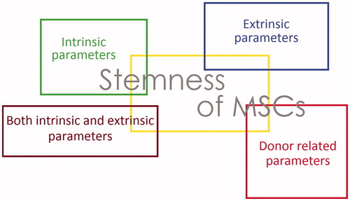 Figure 1. Effective parameters on the stemness of MSCs: in general parameters that influence the stemness of MSCs categorize in 4 groups, intrinsic parameters, extrinsic parameters, parameter in both groups and donor-related parameters.