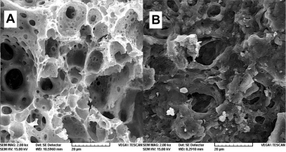 Figure 9 SEM image of membranes after immersion in phosphate buffer for 20 days: A) poly(d,l-lactide-co-glycolide) and B) PGLA-HA: poly(d,l-lactide-co-glycolide) with hydroxyapatite.