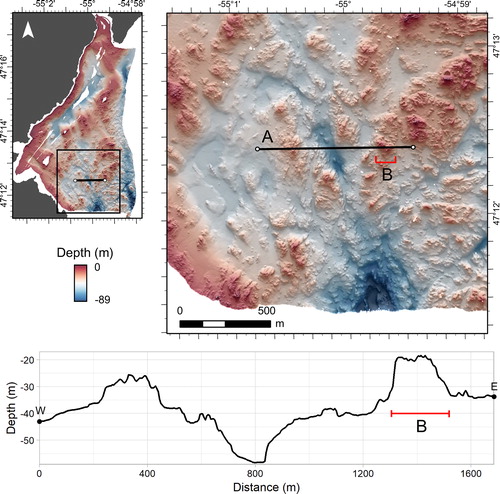 Figure 3. Hillshaded 5 m resolution bathymetry at D’Argent Bay. A terrain profile from West to East (A) shows topographic features at several scales. Finer-scale features are superimposed on broader ones (B).