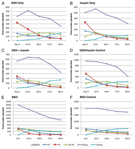Figure 4 Line graphs showing the change in the raw number of each cyst type for treated and control cultures from the initiation of culture to 96 hours. (A) GSH-only, (B) Insulin-only, (C) GSH-Insulin, (D) GSH/Insulin control, (E) BSO, (F) BSO control.