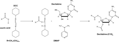 Figure 1 Decitabine (C12)2 synthesis.Abbreviations: DCC, dicyclohexylcarbodiimide; DMAP, 4-(dimethylamino) pyridine.