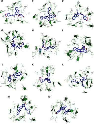 Figure 6 Binding mode of lead compounds.