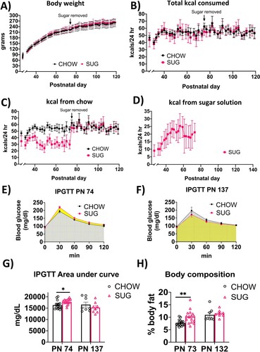 Figure 4. Hippocampal-dependent memory following adolescent cafeteria diet consumption. CAF-exposed rats were impaired in the NOIC memory task (calculated as shift from baseline discrimination index on test day) when tested either before (A) or after (B) a healthy dietary intervention. There were no significant group differences in anxiety-like behavior in the Zero Maze when tested either before (C) or after (D) a dietary intervention. Data are means ± SEM; A/C: n = 10/group, B/D: n =15/CHOW group, n = 16/CAF group, *P < 0.05, **P < 0.01. CHOW: chow-fed; CAF: cafeteria diet; NOIC = novel object in context.