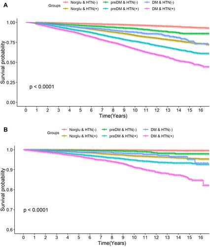 Figure 2 Kaplan–Meier curves of the event-free survival for all-cause (A) and cardiovascular mortality (B) in persons with normoglycemia, prediabetes, and diabetes stratified by hypertension status.