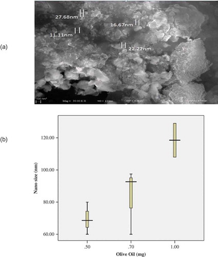 FIGURE 1 (a) SEM result of nanoparticle size (optimum concentration of oil). (b) Graph for nanoparticle with different concentrations of oil.