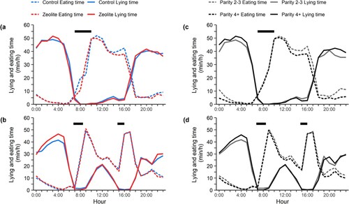 Figure 2. The effect of feeding zeolite precalving or parity on hourly profiles of eating and lying times within day during the PRE and POST periods. The temporal pattern of eating time (min/h) and lying time (min/h) within day for the two treatment groups [(a) and (b); Control vs Zeolite] or the two parity groups [(c) and (d); Parity 2–3 vs 4+] during the PRE [(top); −21 to −3 d] and POST [(bottom); 3 to 28 d] periods relative to the day of calving (d 0). Data are presented as raw means on an hourly basis. The average time spent off pasture is represented by the horizontal black lines. Time off pasture for sampling, measurements, and feeding PRE was approximately between 0700 and 1000 h, and for morning sampling/measurements and the morning and afternoon milkings POST was approximately between 0645–0830 h and 1445–1600 h, respectively. Average sunrise and sunset times across the study were 0730 h and 1719h, respectively (Timeanddate.com: Hamilton, New Zealand – Sunrise, Sunset, and Daylength Citation2021).