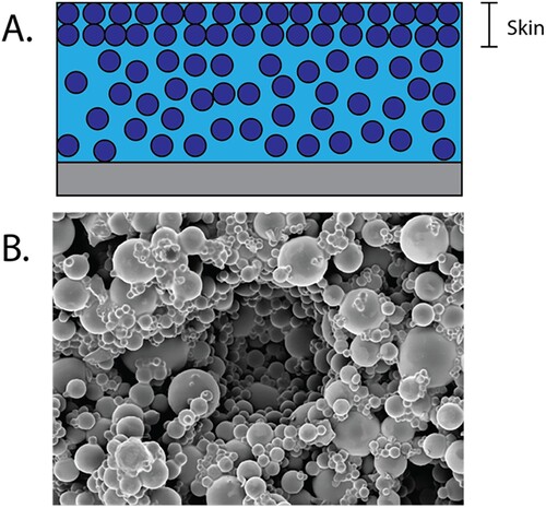 Figure 11. (A) Skin formation in an evaporating slurry and (B) Void left by cavitation bubble from stresses in the skin layer.