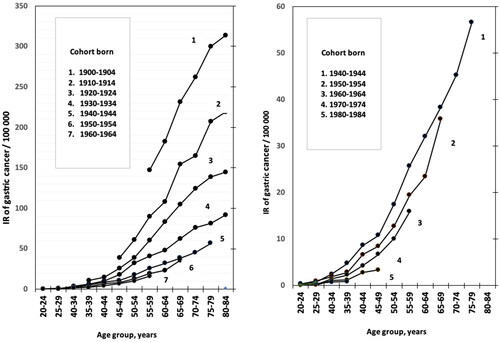 Figure 1. Age group-specific incidence rates (IR) of gastric cancer (GCA) per 100 000 people in relation to birth cohorts (‘cohort effect’) and age groups (‘age effect’) in NORDCAN database among Finnish men born in 1900–1904 or later. The figure on the left shows the IRs in cohort groups born from 1900–1904 to1960–1964 and the figure on the right demonstrates the IRs in cohort groups born from 1940–1944 to 1980–1984.