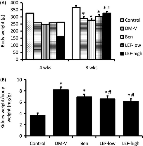 Figure 1. Body weight and kidney weight of rats from various groups. DM, diabetes mellitus group; V, vehicle; Ben, benazepril; LEF, leflunomide. Values are mean ± SEM; n = 8; *p < 0.05 versus control, #p < 0.05 versus vehicle-treated DM rats.