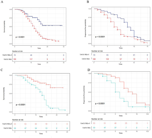 Figure 1 The Kaplan–Meier (KM) curves for patients with advanced hepatocellular carcinoma who received the treatment of transcatheter arterial chemoembolization with tyrosine kinase inhibitors plus camrelizumab (TACE-TKIs-C) or transcatheter arterial chemoembolization with tyrosine kinase inhibitors (TACE-TKIs): (A) the KM curves of overall survival time before PSM analysis; (B) the KM curves of time to progression before PSM analysis; (C) the KM curves of overall survival time after PSM analysis; (D) the KM curves of time to progression after PSM analysis.