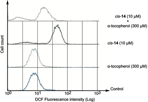 Figure 6 Effects of α-tocopherol on intracellular oxidative stress in HL60 cells treated cis-14. Cells were pre-incubated with α-tocopherol (300 μM) for 1 hr prior to exposure to fullerene derivatives for 1 hr. Oxidative stress was measured by DCFH-DA fluorescence probes.Abbreviation: DCFH-DA, 2',7'-dichlorodihydrofluorescein diacetate.