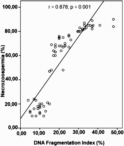 Figure 2.  Correlation between necrozoospermia and the sperm DNA fragmentation index. A statistically significant positive correlation was found between the degree of necrozoospermia and sperm DNA fragmentation (r = 0.878; p = 0.001).