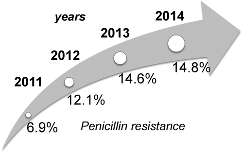 Figure 1 Constant increase of bacterial non-susceptibility to penicillin in S. pneumoniae, expressed as percentage of intermediate and resistant strains (% I+R) observed in Italy from 2011 to 2014 and further raising trend in the following years.