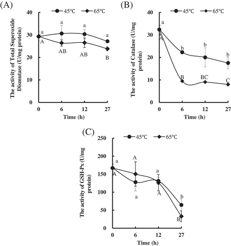 Figure 4. Changes in antioxidant enzymes in Patinopecten yessoensis adductor muscle (PYAM) during the heat treatment of 45°C and 65°C. (A) Total superoxide dismutase activity; (B) catalase activity; (C) GSH-Px activity. Data is reported as mean ± SD based on three replicates. Different letters indicated significant differences (p < 0.05).