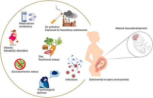 Figure 3. Environmental factors causing detrimental alterations in the maternal exposome. Toxin and pollutant exposure, infection during pregnancy, diet and metabolic status, smoking, psychosocial stressors such as low socioeconomic status, major life events, and pregnancy-related stressors, can determine broad changes in the maternal environment, thereby jeopardizing pregnancy outcomes and fetal developmental programming. Created in Biorender.com.