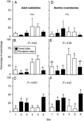 Figure 6. Mean (+SE) percentage of the total assemblages for adult caddisfly (A) filtering collectors, (B) scrapers, and (C) shredders, and benthic invertebrate (D) filtering collectors, (E) scrapers, and (F) shredders from the six sampling sites. Superscript letters denote statistically distinct groups of means based on a one-way analysis of variance with post-hoc Tukey test for each functional group for each assemblage. n.s. = not significant. n = 7 for benthic genera and n = 5 for adult caddisflies.