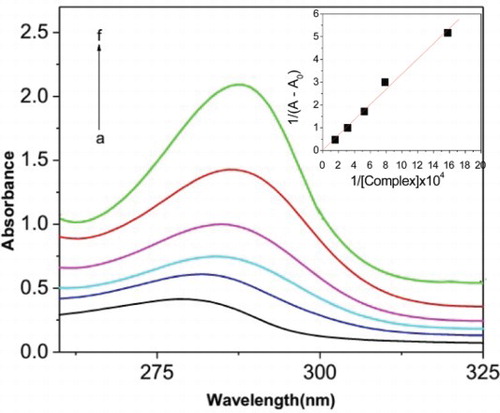 Fig. 8. Absorption spectrum of BSA in the presence of complex in the concentration range 0–6.34×10−5 M. Inset is the linear dependence of 1/A−A0 on the reciprocal concentration of complex.