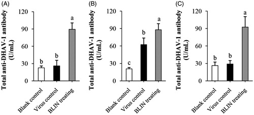 Figure 6. Influence of BLIN on total anti-DHAV-1 antibody secretion. After injecting DHAV-1 for (A) 4, (B) 8 or (C) 54 h, the blood of ducklings in the blank control, virus control and BLIN treatment groups (five samples per group) was collected. The serum was separated and total anti-DHAV-1 antibody levels were determined by an ELISA kit. Statistical analyses were performed using Duncan’s multiple range tests. a–cBars in the figure without the same superscripts differ significantly (p < 0.05).