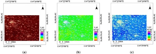 Figure 15. Based on GF-3 SAR image, LAI images inverted by MWCMLAI-Net. (a – c) are from the jointing, booting, and heading stages, respectively.