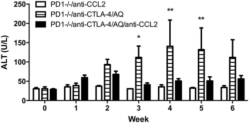 Figure 4. ALT levels. PD1−/− mice treated with anti-CTLA-4 and AQ have significantly greater ALT levels at Weeks 3–5 compared to PD1−/− mice treated with anti-CTLA-4, AQ, and anti-CCL2 (significance displayed in figure). PD1−/− mice treated with anti-CTLA-4 and AQ also had significantly greater ALT levels at Weeks 3–6 (p ≤ 0.05) compared to PD1−/− mice treated with anti-CCL2. PD1−/− mice treated with anti-CCL2 (PD1−/−/anti-CCL2), PD1−/− mice with anti-CTLA-4 and AQ (PD1−/−/anti-CTLA-4/AQ), and PD1−/− mice with anti-CTLA-4, AQ, and anti-CCL2 (PD1−/−/anti-CTLA-4/AQ/anti-CCL2). Values represent the mean ± SE. Analyzed for statistical significant by two-way ANOVA. *p < 0.05; **p < 0.01.