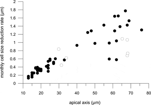 Fig. 14. Average monthly reduction rate of the apical length of Fragilariopsis kerguelensis clonal strains of different cell size; black circles represent the 47 strains measured after a time interval of 24 months, white circles represent the seven strains measured after a time interval of 7 months.