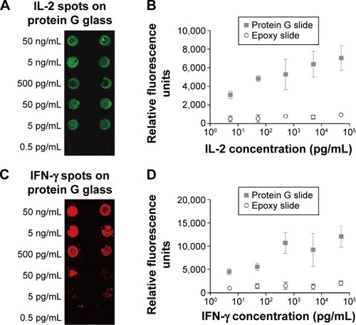 Figure 2 Detection of human cytokines on protein-G-coated glass slides.Notes: (A) Recombinant human IL-2 spots on protein G slides were detected using a sandwich immunoassay. Various concentrations of IL-2 (50 ng/mL, 5 ng/mL, 500 pg/mL, 50 pg/mL, 5 pg/mL, and 0.5 pg/mL) were spotted onto both epoxy and protein G slides and detected using the corresponding fluorescently labeled antibody. (B) Comparison of the IL-2 fluorescence intensities on epoxy or protein G slides. (C) Recombinant human IFN-γ spots on protein G slides were detected by an immunoassay. (D) Comparison of the IFN-γ fluorescence intensities on epoxy or protein G slide.Abbreviations: IL-2, interleukin-2; IFN, interferon.