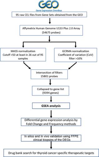 Figure 1 Flow chart of transcriptomics data normalisation and gene set enrichment analysis