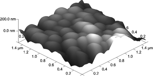 Figure 10.  AFM image of microbeads coated with poly-L-lysine, showing an average layer thickness 17 nm. 3D representation of the height image.