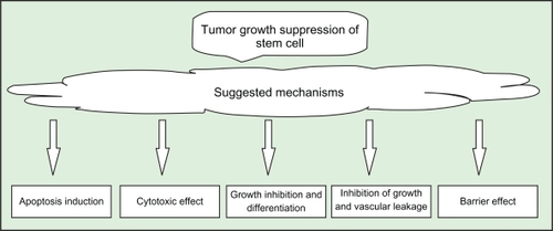 Figure 2 Some suggested mechanisms of tumor growth suppression of unmodified stem cells.