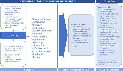 Figure 1 Study overview.