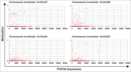 Figure 4. TFAP2A mRNA expression is frequently associated with DNA cytosine methylation in human melanoma. TCGA data was extracted and expression (from RNA-seq) was plotted against methylation (from Illumina HumanMethylation450 Bead Chip) for 4 cytosine residues at position Chr6:10,416,007 to Chr6:10,416,337 in the 5′-end of the human TFAP2A gene. These data were extracted and plotted using a unique tool developed at The University of Iowa Institute for Clinical & Translational Science ( https://research.icts.uiowa.edu/compass/). The data across 184 human clinical melanoma samples reveal that aberrant cytosine methylation of this CpG in the TFAP2A gene is associated with transcriptional silencing of TFAP2A mRNA expression in a subset of human melanomas.