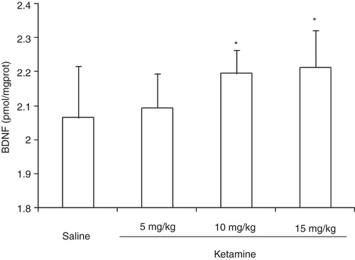 Figure 2. Expression of BDNF in rat hippocampus after administration of different doses of ketamine.