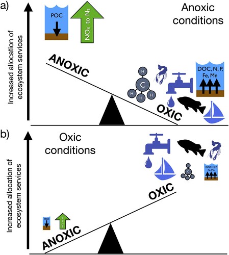 Figure 2. The effects of oxygen on lake ecosystem functioning and services can be conceptualized as a balance or seesaw between contrasting (a) anoxic (low oxygen) vs. (b) oxic conditions. Icons represent different lake ecosystem provisioning, regulatory, supporting, and cultural services. In anoxic conditions (a), the rate of particulate organic carbon (POC) burial is higher, as is the removal of nitrate (NO3−) to N2 via denitrification. However, anoxia also promotes the production of methane (CH4), a potent greenhouse gas, and higher fluxes of dissolved organic carbon (DOC), nitrogen (N), phosphorus (P), iron (Fe), and manganese (Mn) from the sediments to the water column, thereby decreasing water quality. Consequently, both positive and negative effects of anoxia occur on lake ecosystem regulatory and supporting services. By contrast, oxic conditions (b) are associated with higher-quality water for drinking, recreation, habitat for fish and macroinvertebrates, and lake aesthetics, resulting in positive effects of high oxygen on lake ecosystem provisioning and cultural services. When oxygen is high, the rates of POC burial, denitrification, CH4 production, and sediment fluxes of DOC, N, P, Fe, and Mn are lower (indicated by the smaller size of the icons). All icons used in this figure were either created by the author or in the public domain from Creative Commons.
