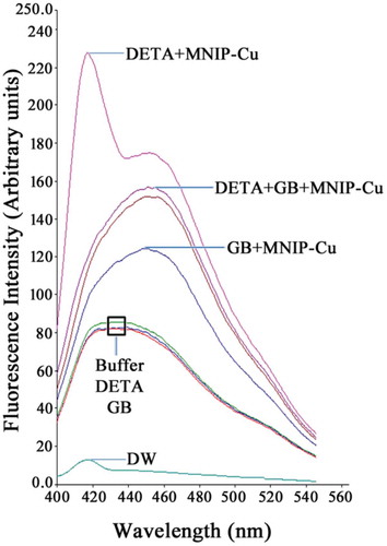 Figure 4. NO quenching ability of GB. NO released from NO donor (DETA) reacts with NO probe (MNIP-Cu) yielding an excitation peak at 417 nm (ex. 365 nm; em. 420 nm). The peak is, however, completely abolished upon co-addition of GB. DETA and GB were used at 100 μM, whereas MNIP-Cu was used at 2.5 μM as per established procedureCitation41 (MNIP-Cu: a copper derivative 4-mrthoxy-2-(1H-naptho (2, 3-d) imidazol-2-yl) phenol).