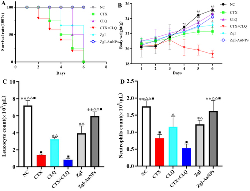 Figure 13 The effect of ZgI-AuNPs on the blood cell production capacity of mice HSCs. (A).The survival rate of each group. (B)The body weight change of each group (n = 6, Means ± SD), (vs CTX group, *P<0.05, **P<0.05; vs CTX+CLQ group, ΔP < 0.05, ΔΔP < 0.01). (C).The leukocytes count of each group (n = 6, Means ± SD), (vs CTX group, *P<0.05, **P<0.05; vs CTX+CLQ group, ΔP < 0.05, ΔΔP < 0.01; vs ZgI group, ■P < 0.05). (D) The neutrophils count of each group(n = 6, Means ± SD), (vs CTX group, *P<0.05, **P<0.05; vs CTX+CLQ group, ΔP < 0.05, ΔΔP < 0.01; vs ZgI group, ■P < 0.05). NC group: saline. CTX group:CTX + saline. CLQ group: CLQ + saline. CTX+CLQ group: CTX + CLQ + saline. ZgI group: ZgI + CTX + CLQ + saline. ZgI-AuNPs group: ZgI-AuNPs + CTX + CLQ + saline.