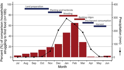 Figure 3. Seasonality of the food insecurity, rainfall, and farming activities in Malawi. The plot shows the percentage of comparison households that indicated they struggled to find food in each month of the year preceding the survey (vertical bars), the average monthly rainfall (line and point), and the main farming activities (horizontal bars). Precipitation data are for Salima township, based on the period 1982 to 2012 (Climate-Data.org, Citation2019). Note: Banking ridges is a method of weed control