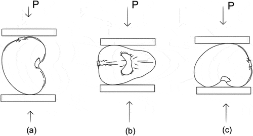 Figure 4. Compression test directions. (a) length (x−axis), (b) thickness (y−axis), and (c) width (z−axis).