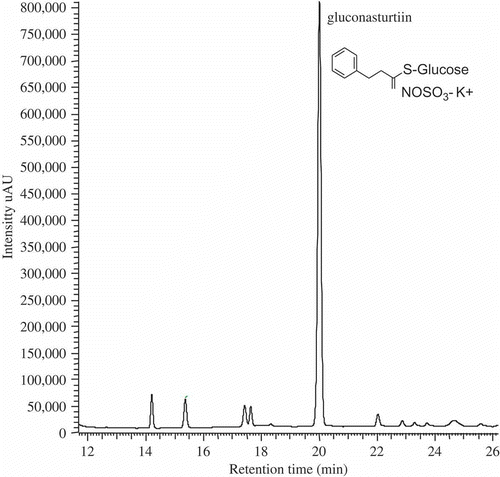 Figure 2. HPLC chromatogram for glucosinolates identified in baby-leaf watercress organic extract recorded at 229 nm. Figura 2. Cromatograma de HPLC de glucosinolatos identificados en extracto de brotes de berros ecológicos, grabado a 229 nm.