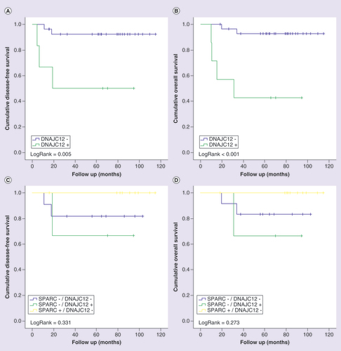 Figure 6.  Upregulation of DNAJC12 is associated with poor prognosis of triple-negative breast cancer.Kaplan-Meier curves for disease-free (A and C) and overall (B and D) survival of triple-negative breast cancer patients stratified according to DNAJC12 protein expression. Patients were categorized as positive (>10%) ornegative (<10%) according to the percentage of tumor cells positive to DNAJC12. In (C) and (D), patients were classified in four categories according to the protein immunostaining of SPARC and DNAJC12 status. LogRank test was performed for curves comparison.