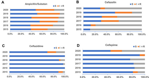 Figure 5 Sensitivity of E. coli to commonly used antibacterial drugs (%). (A) Sensitivity of E. coli against Ampicillin/Subatan during the past 6 years. Sensitivity of E. coli against cephalosporins including (B) Cefazolin, (C) Ceftazidime, and (D) Cefepime.